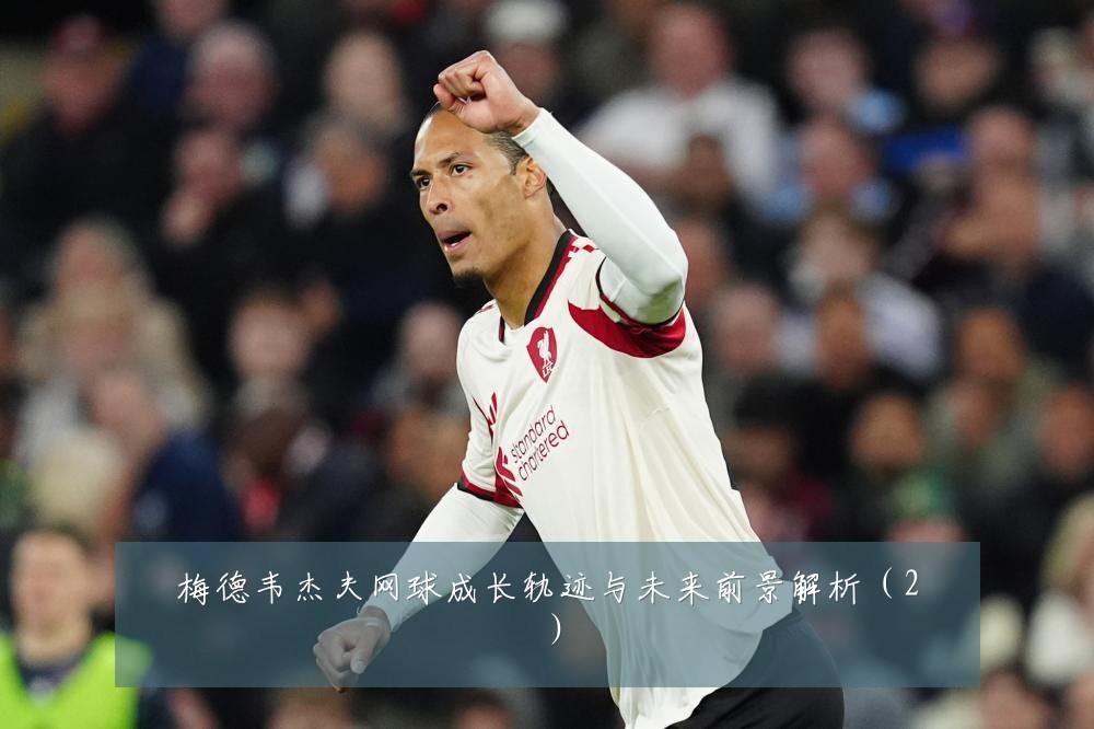梅德韦杰夫网球成长轨迹与未来前景解析(2)