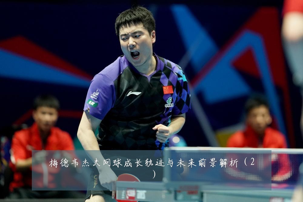 梅德韦杰夫网球成长轨迹与未来前景解析(2)